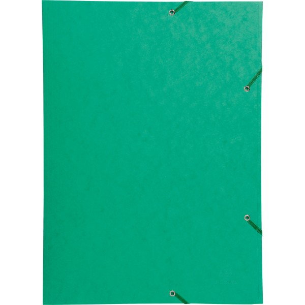 Exacompta Sammelmappe Nature Future 59515E DIN A3 600g Karton grün