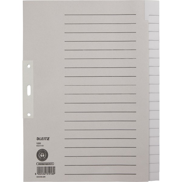 Leitz Register 12200085 blanko DIN A4 20teilig Papier grau