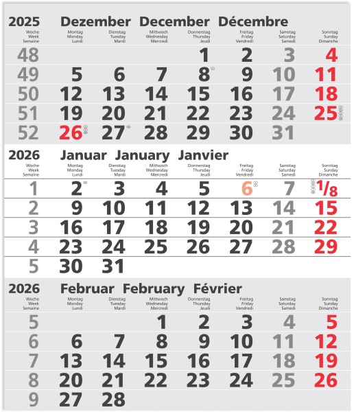 Güss Ersatzkalendarium 66000e für 3-Monats Metallwandkalender