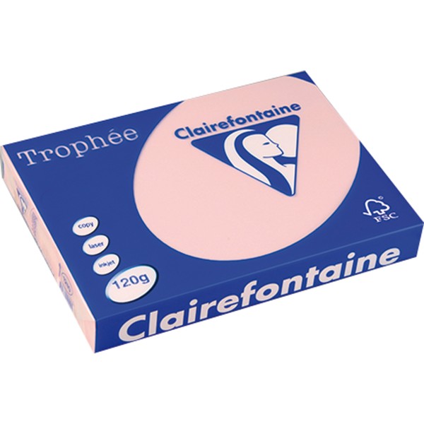 Clairefontaine Kopierpapier 1210C 025601210311 A4 120g rosa 250Bl