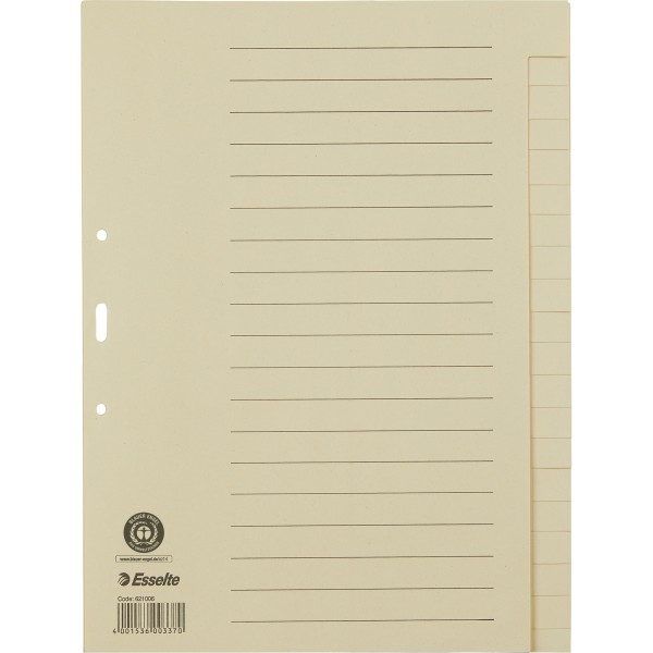 Esselte Register 621006 blanko DIN A4 20Bl. Papier chamois