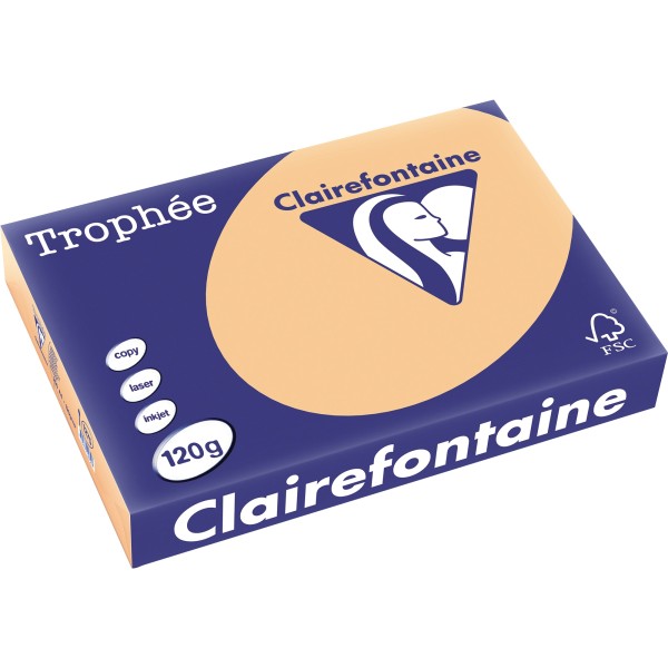 Clairefontaine Kopierpapier 1275C 025601210231 A4 120g aprikose 250Bl