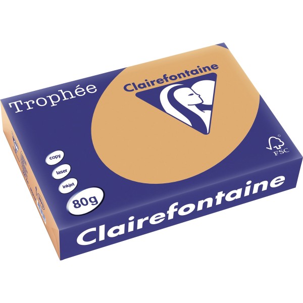 Clairefontaine Kopierpapier 1879C A4 80g camel 500Bl.