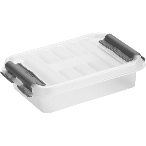 Sunware Aufbewahrungsbox Q-line H6162002 0,2l transparent