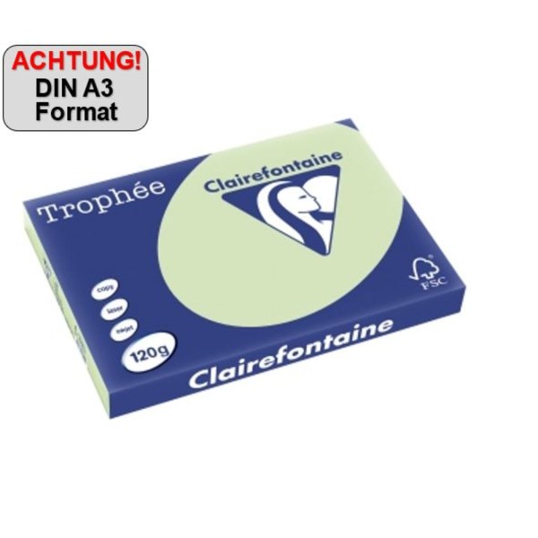 Clairefontaine Kopierpapier 1315C A3120g gn 250Bl