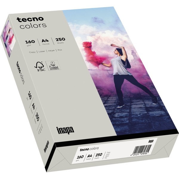 inapa tecno Kopierpapier colors 2100011364 A4 160g grau 250Bl.