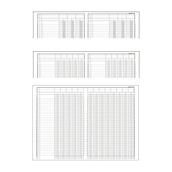 Exacompta Kolonnenbuch 17100E DIN A4 10Spalten/2Seiten 40Blatt