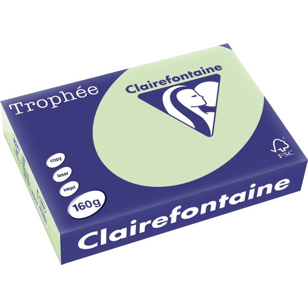 Clairefontaine Kopierpapier 1107C A4 160g grün 250Bl.